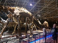 -世界恐龙谷景区