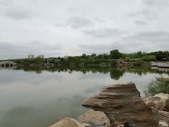-大港湿地公园
