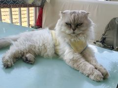 -小时光咖啡馆(北锣鼓巷店)