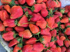 -宋记冕宁土菜馆(海门渔村二店)