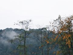 -四川大学(望江校区)