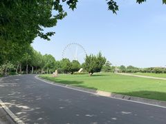 -石家庄市植物园