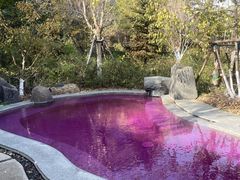 -清河半岛温泉度假酒店