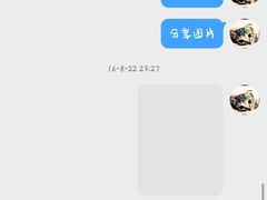 -美联众合动物医院·24h京西诊疗中心