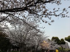 -堤角公园
