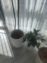 -HEYAN荷妍专业脱毛连锁机构