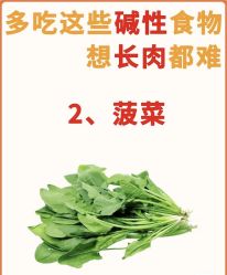-Fundi张玉珊修身堂·indiba·BTL科技瘦身