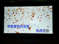 -宝岛甲壳虫KTV(蓝天路店)