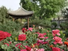 -三里河公园