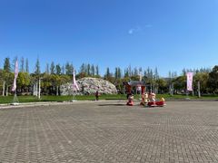 -上海海湾国家森林公园