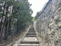-香山公园
