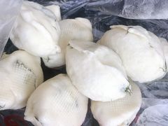 -石饮红星包子(中山路店)