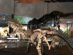 -湖南省地质博物馆