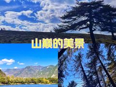 -芦芽山旅游度假区