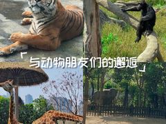 -南昌动物园