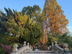 -上海醉白池公园