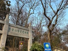 -紫金山山顶公园