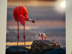 -罗红摄影艺术馆