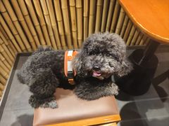 -瑞虹新天地月亮湾