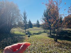 -北极村旅游风景区