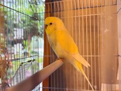 -时光花园(白鹭洲店)