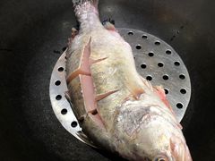 -老刘生态大鱼坊铁锅炖鱼(赛马场店)