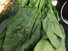 -裕德孚·非遗手切涮羊肉(东直门内大街店)