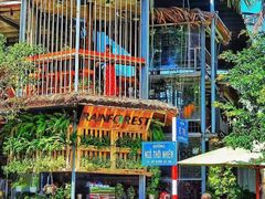 -Rainforest