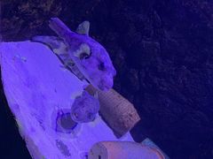 -梦幻海洋王国(吾悦广场张家港店)