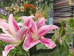 -FEI FEI FLOWER鲜花店·气球派对·宝宝宴布置(虹口德必运动Loft店)