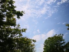 -泗洪洪泽湖湿地景区