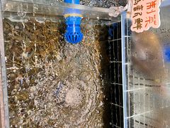 -西山人家·二十年老字号农家菜(旺山店)