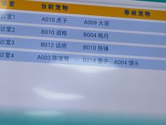 -美联众合动物医院·24h京西诊疗中心