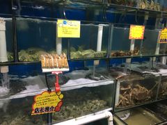 水产区-蚝专家(北滘店)
