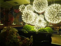 -青叶202都市餐厅(迪诺水镇店)