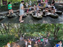 -成都市活水公园