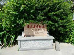-小洲村