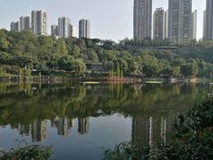 -重庆彩云湖湿地公园