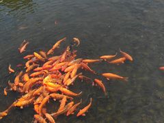 -北京奥林匹克公园