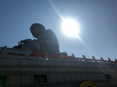 -龙口南山旅游景区