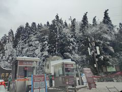 -武陵山森林公园