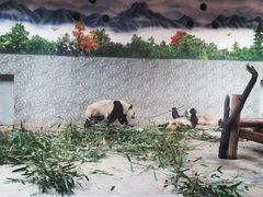 -西安秦岭野生动物园