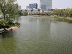 -大兴滨河森林公园