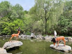 -周口店北京人遗址公园