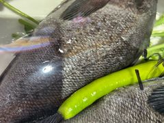 -日丰园海肠水饺·老字号大连海鲜(银泰城店)
