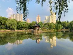 景点-和平公园