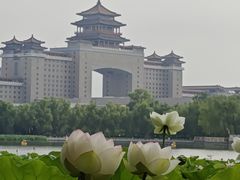 -莲花池公园