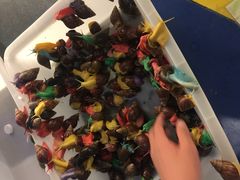 -北戴河圣蓝海洋公园