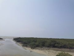 -北海金海湾红树林生态旅游区