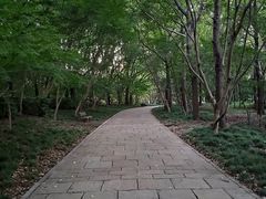 -共青国家森林公园-售票处